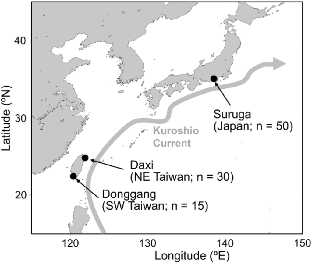 41598 2025 91208 Fig1 HTML 日本與台灣海域西北櫻花蝦Lucensosergia lucens的族群隨機雜交